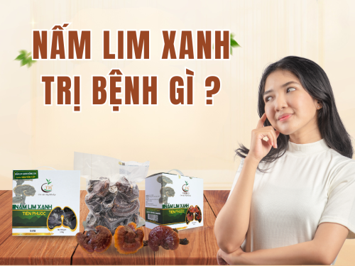 Nấm Lim Xanh trị bệnh gì? Có thật sự hiệu quả như quảng cáo không?